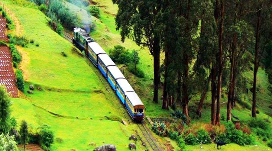 Ooty Travel Agency